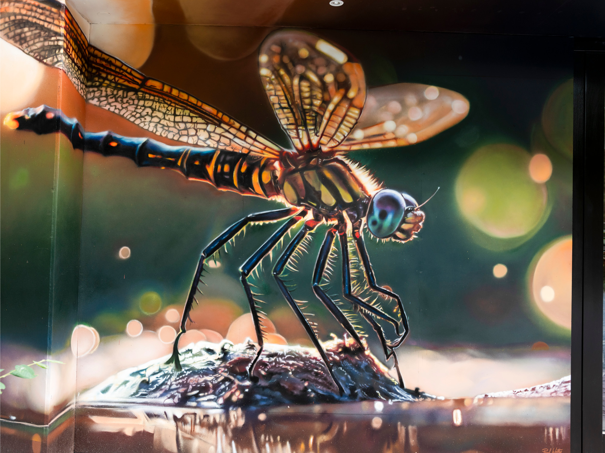 Slider 1200x900_20255